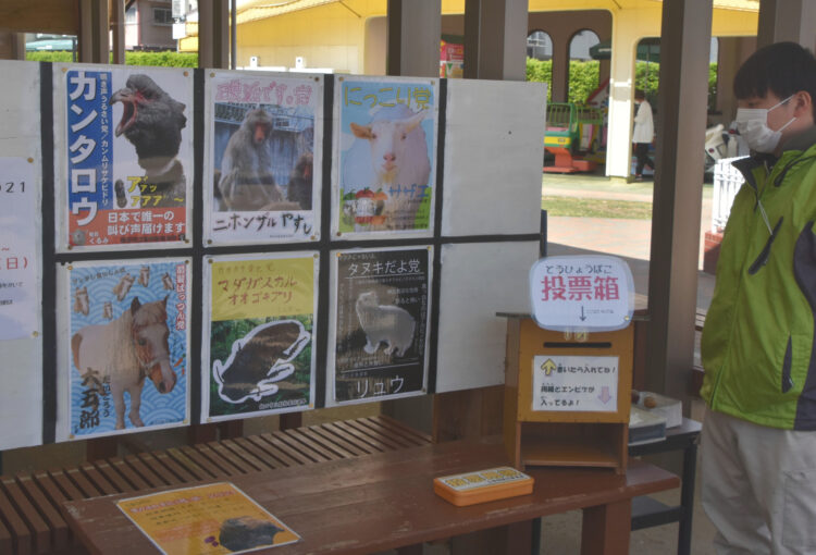 園の顔選ぶ「総選挙」は６匹の争い　飯田市立動物園