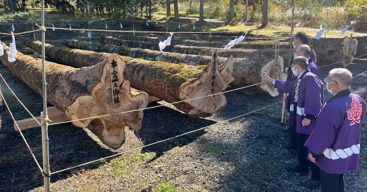 諏訪大社御柱祭 上社の御柱用材8本、公開スタート| 長野県の
