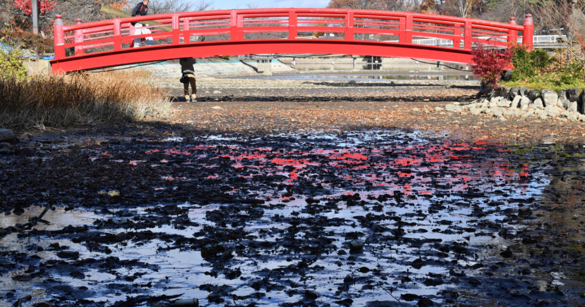 空っぽ竜ケ池 いざ冬本番 須坂の臥竜公園| 長野県の移住総合WEBメディア「SuuHaa（スーハー）」