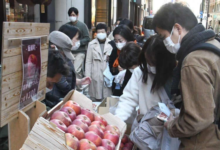 お得です！　長野県産「凍霜害リンゴ」　銀座で販売