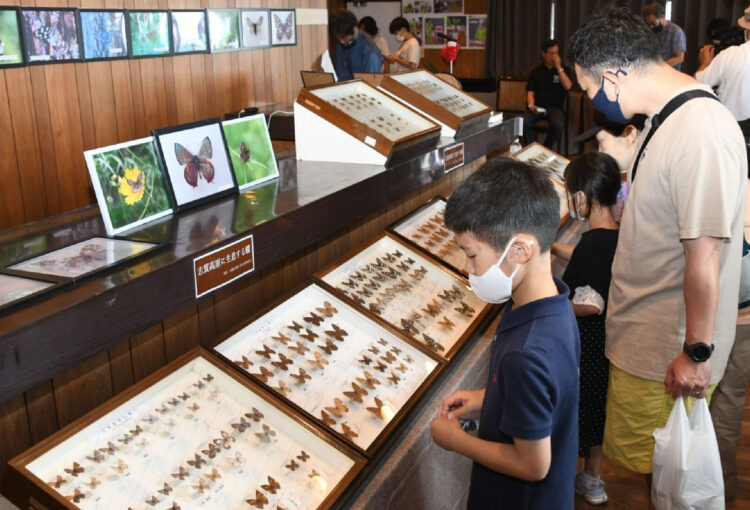 自然の宝庫 志賀高原で虫に親しんで　「移動昆虫館」、山ノ内町にオープン