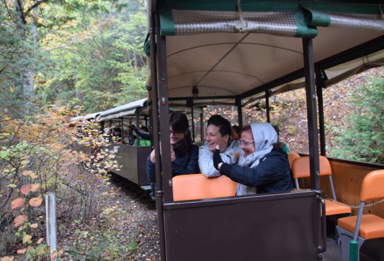 海外客が環境考える旅を　上松町の森林でモニターツアー