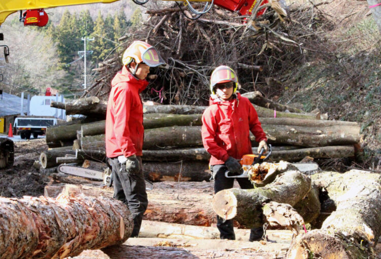 10代新卒者2人 上伊那森林組合・伐採班で活躍中