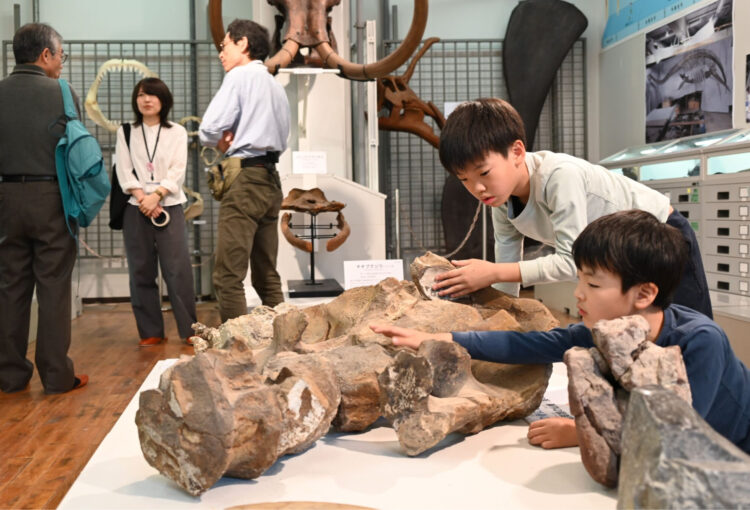 小学校の化石標本室、本年度一般公開スタート　飯田市