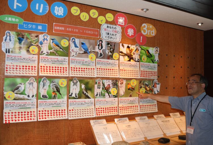 北アルプス上高地　観察できるヒタキ科野鳥でどれが好き？　　人気投票コーナー