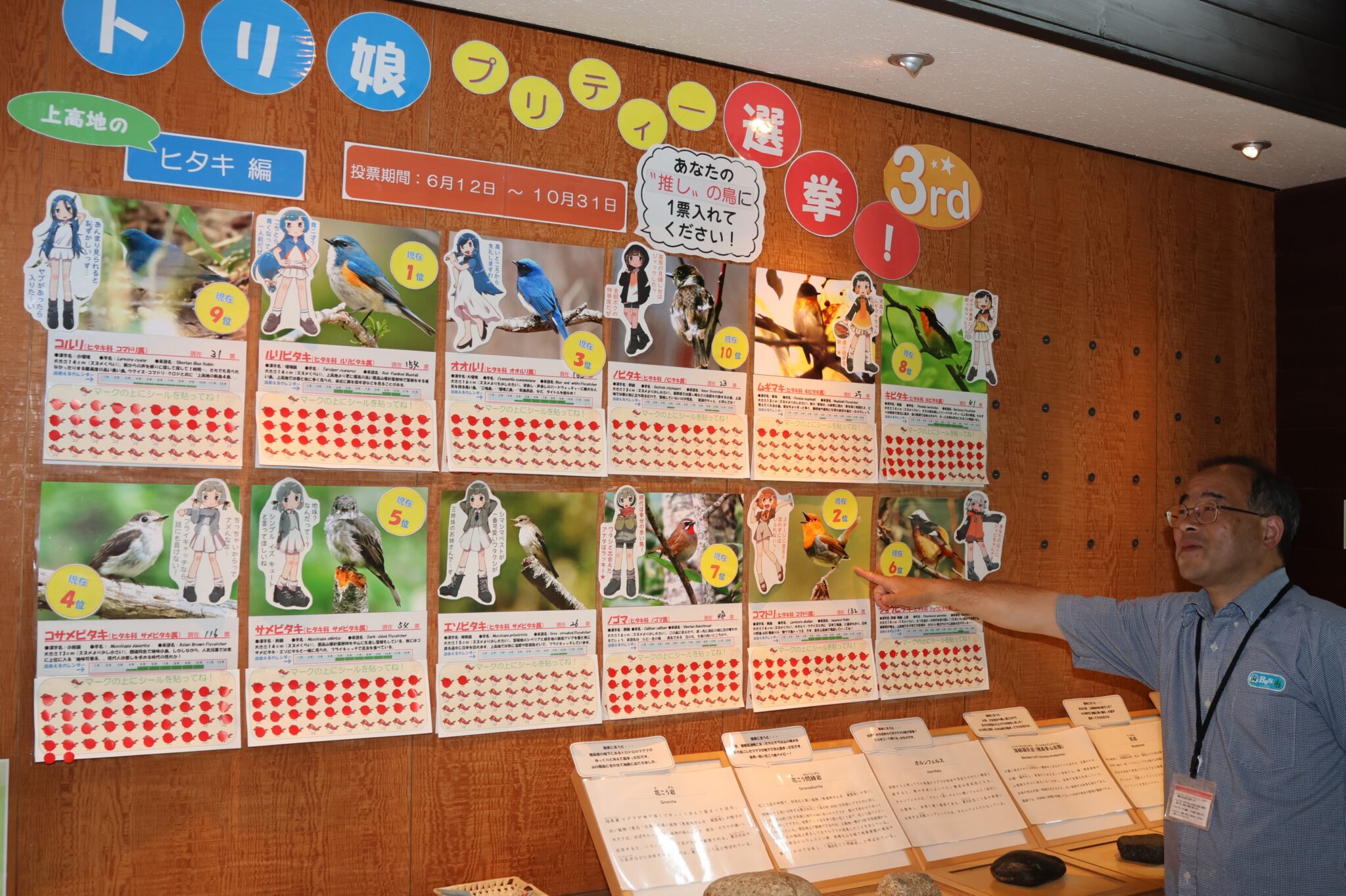 北アルプス上高地　観察できるヒタキ科野鳥でどれが好き？　　人気投票コーナー