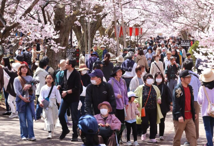 2026年の高遠城址公園「さくら祭り」QRコード読み取りで入園可に